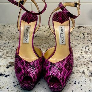 Python Jimmy!  In fab shape!